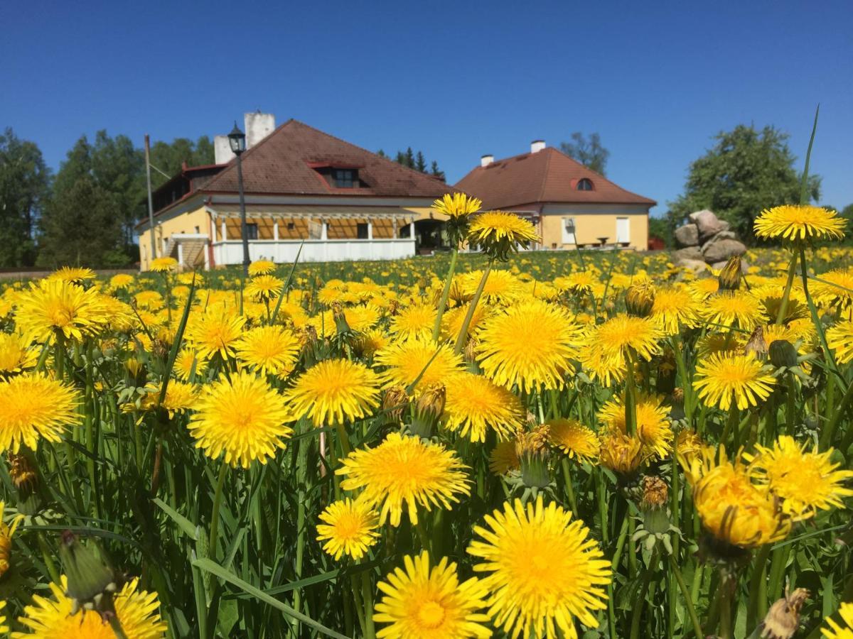 Ruunawere Hotel Nõmmealuse Buitenkant foto