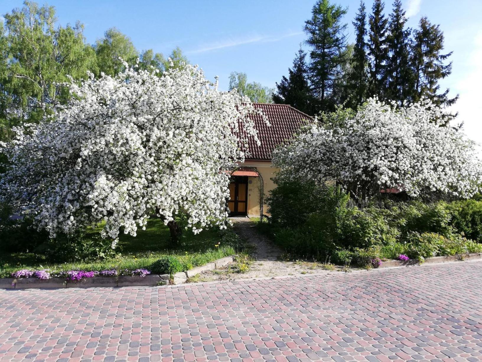 Ruunawere Hotel Nõmmealuse Buitenkant foto